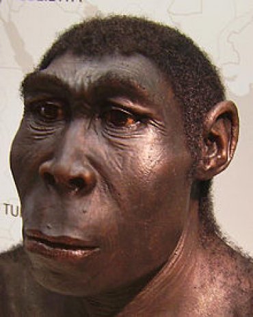 Ученые: Открытие нового подвида древнего человека объясняет, что эволюция Homo sapiens была не линейной