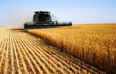 В Украине приходит в упадок сельское хозяйство