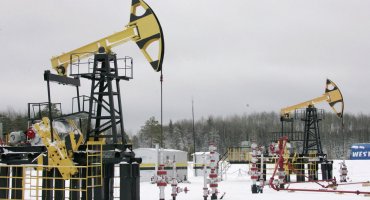 В Беларуси обнаружено месторождение нефти