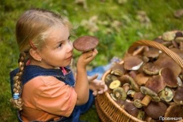 В России собираются ввести налог на сбор грибов и ягод