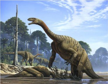 В Египте нашли гигантского неизвестного динозавра