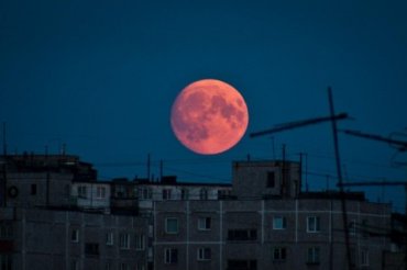 Голубая Луна кровавого цвета: нас ожидает тройное явление