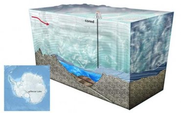 Ученые нашли мертвые организмы под льдами Антарктиды