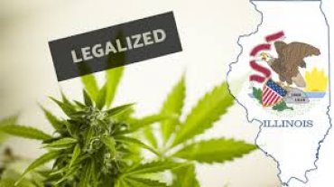 В США уже 11-й штат легализовал марихуану