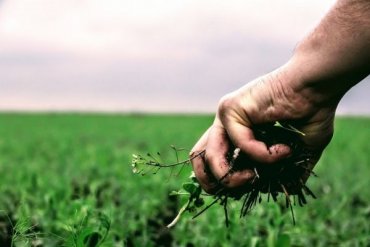 Сельхозпроизводители Украины в погоне за прибылью истощают почву — эксперты