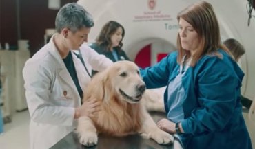 Американец потратил 6 млн долларов на рекламу ветклиники, спасшей его собаку