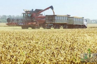 Украина стала вторым экспортером зерна в мире