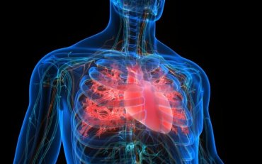 В Израиле подтвердили первый случай воспаления сердца у заразившегося “Омикроном”