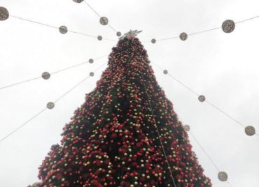 Прощай волшебство: в Киеве разбирают главную новогоднюю елку. Фото