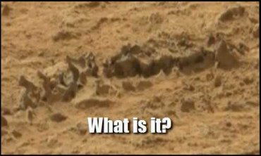На Марсе обнаружен скелет
