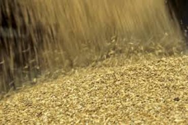 Украина добросовестно выполняет свои обязательства по поставкам зерна в Китай