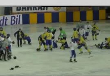 Сборные Украины и Монголии устроили массовую драку на ЧМ по хоккею с мячом
