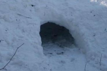 В России погиб мальчик, выкапывая тоннели в снегу