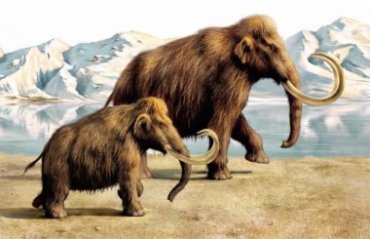 Ученые смогут «оживить» мамонтов через несколько лет