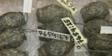 В Эстонии археологи раскопали клад эпохи викингов
