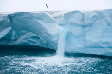 Ученые исследуют экосистему Антарктики, которая 120 000 лет была скрыта подо льдом