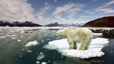 Экологи бьют тревогу: глобальное потепление уже изменило климатические зоны, и это только начало