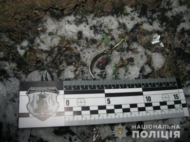 В Харьковской области на кладбище мужчина подорвался на гранате