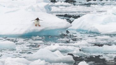 Летняя температура в Антарктиде побила рекорд