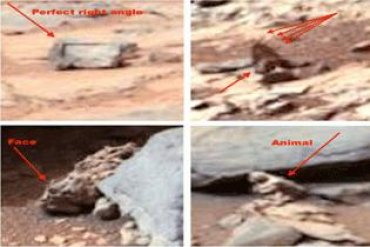 Новые загадки Марса: птица среди камней