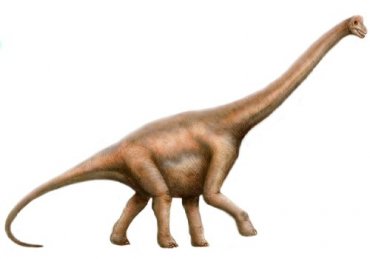 Каких размеров на самом деле были динозавры?
