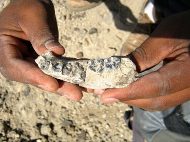 Находка археологов может «отодвинуть» историю человечества на 400 тыс. лет