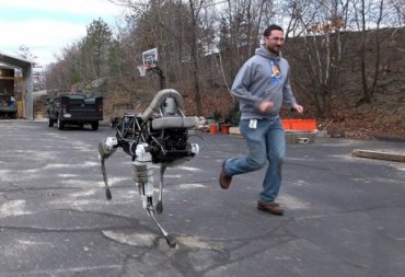 Пес-робот для Пентагона вступил в конфликт с живой собакой