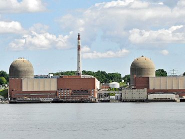 Из-за птичьего помета в США остановился реактор АЭС