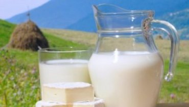 Украина собралась контролировать качество своего молока за швейцарские деньги