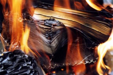 На Масленицу в Краснодаре сжигали книги американского писателя