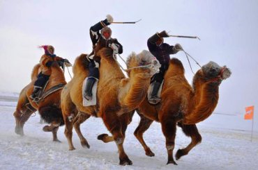 В Монголии состоялась самая крупная гонка на верблюдах