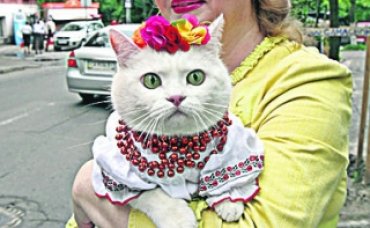 Украина вошла в топ-10 стран, где больше всего домашних кошек