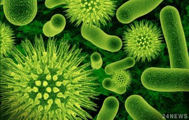 Ученые: Супербактерии будут убивать по десять миллионов человек в год