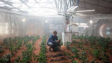На Марсе можно выращивать картофель, — выводы ученых