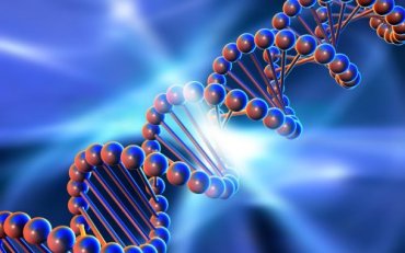 Продемонстрирована возможность создания ДНК-компьютера