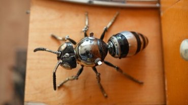Роботизация: пчелы в США станут металлическими