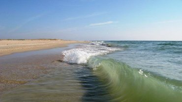 Азовское море находится под угрозой исчезновения
