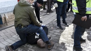 В Финляндии «солдат Одина» напал на главу МИД