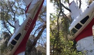 Во Флориде отец и сын уцелели после падения самолета, не получив даже царапины