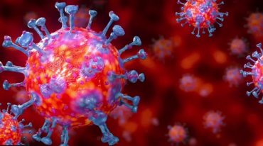 Британский ученый утверждает, что коронавирус прилетел из космоса