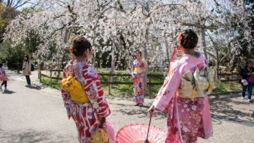 Японцам в этом году не дадут полюбоваться цветением сакуры