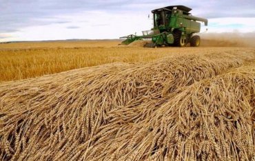 Минэкономики ожидает рекордный урожай зерна