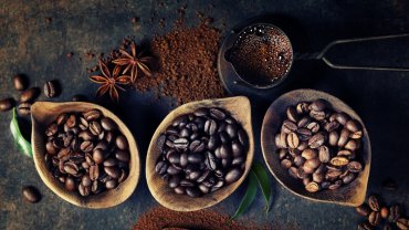Отходы производства кофе могут ускорить восстановление тропических лесов