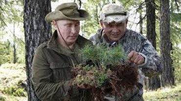 Путин и Шойгу планируют вырубку и продажу украинского лес