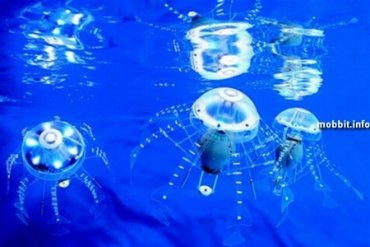 Американцы создадут медузу-разведчика