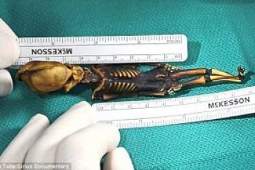 Ученые раскрыли загадку миниатюрной мумии «инопланетянина» из Чили