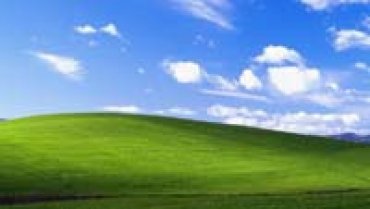Фотограф объяснил происхождение фона Windows XP