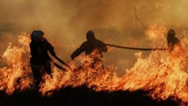 Сибирский полпред обвинил представителей оппозиции в лесных пожарах