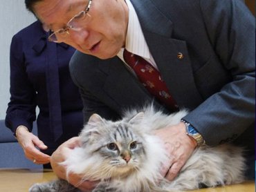 Японцы рассказали о судьбе кота, подаренного Путиным