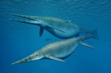 Ученые нашли челюсть подводной гигантской рептилии, умершей 200 миллионов лет назад